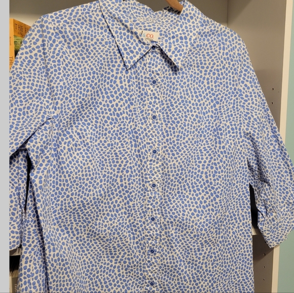 D&Co Blue Stone Button Down- Size Large (14)- Cotton - Picture 2 of 4